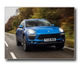 14_macan_s_01.jpg (800x600) - 80 KB