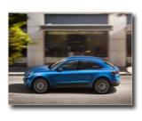 14_macan_s_02.jpg (800x599) - 73 KB