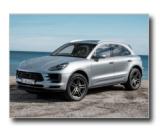 19_macan_s_01.jpg (800x600) - 106 KB