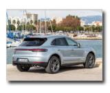 19_macan_s_02.jpg (800x600) - 127 KB