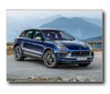 22_macan_t_01.jpg (800x600) - 105 KB