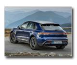 22_macan_t_03.jpg (800x600) - 97 KB