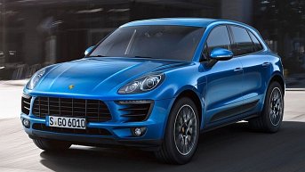 14_macan_s.jpg (343x193) - 18 KB