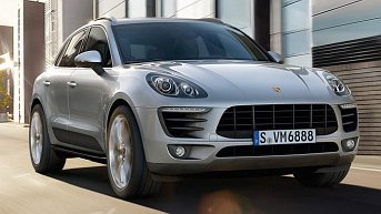 16_macan.jpg (343x193) - 20 KB