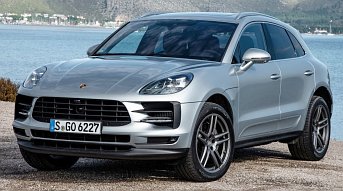 19_macan_s.jpg (343x191) - 23 KB